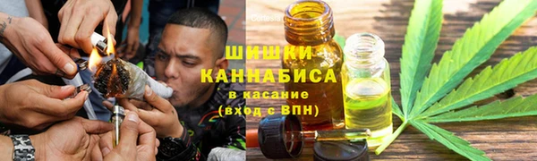 не бодяженный Гусев